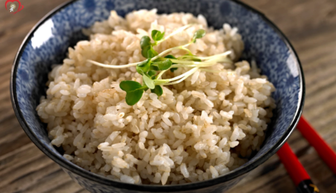 O que é Arroz Integral
