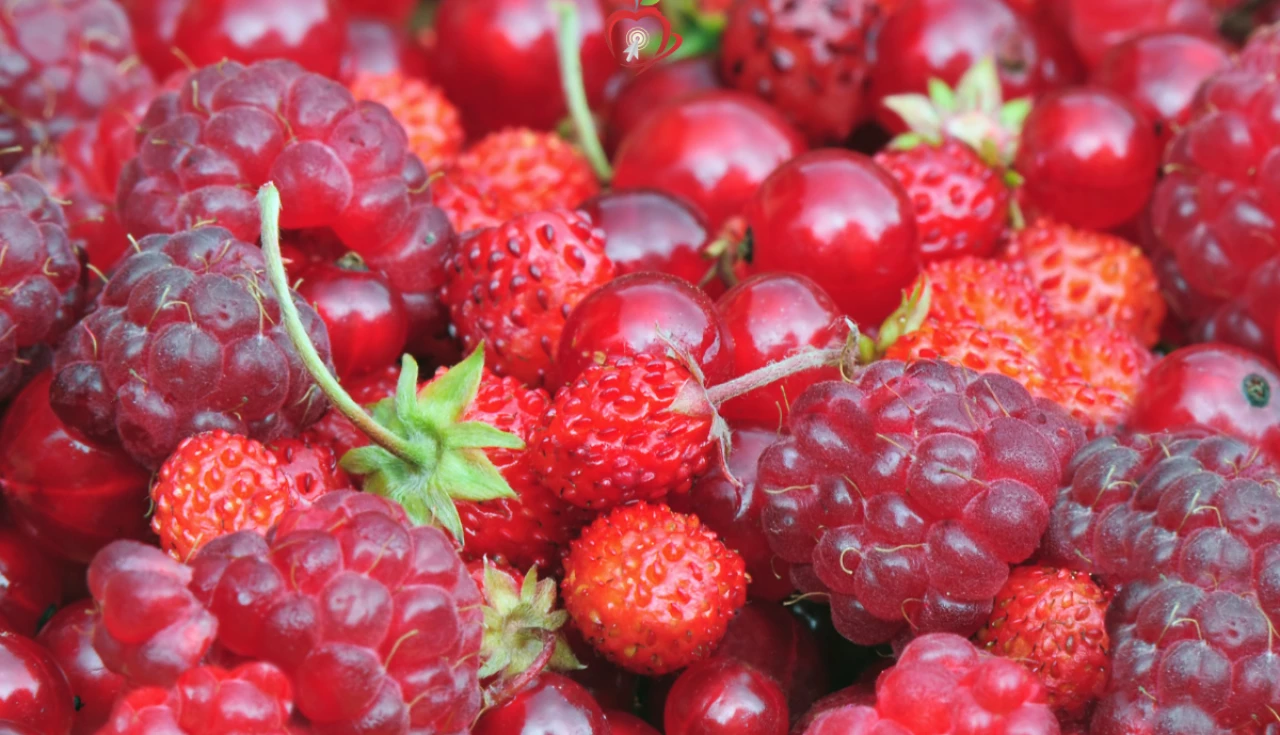 O que é: Frutas vermelhas