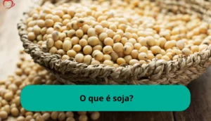 O que é : Soja