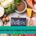 Quais são os 4 tipos de proteínas?