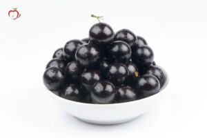 o que e jabuticaba