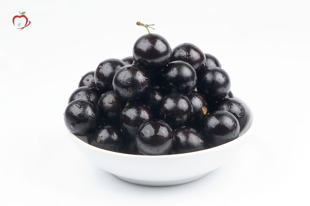 o que e jabuticaba