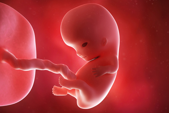 Cordão umbilical enrolado no pescoço não costuma impedir parto normal, apontam especialistas - Imagem do artigo original